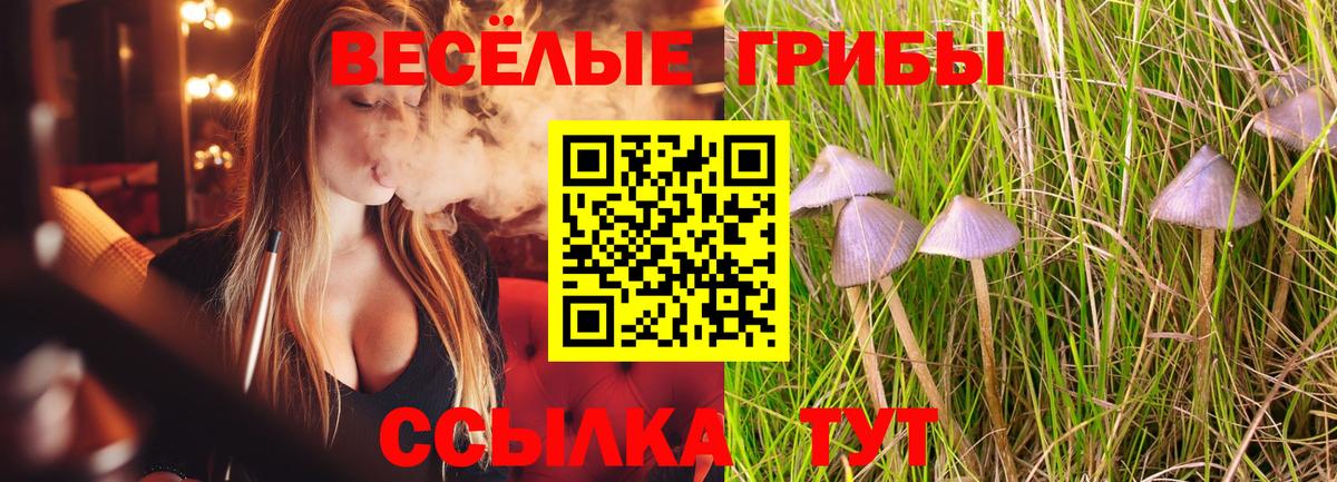Псилоцибиновые грибы MAGIC MUSHROOMS  Псилоцибиновые грибы Magic Shrooms  Дмитров  купить наркотики цена  Вход с VPN 